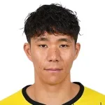H. Mitsumaru