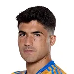 N. Ibáñez